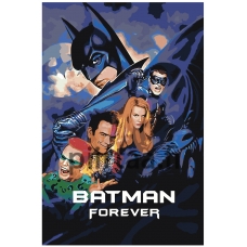 Maalaa numeroilla z69751