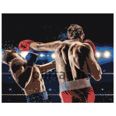 Maalaa numeroilla z70081