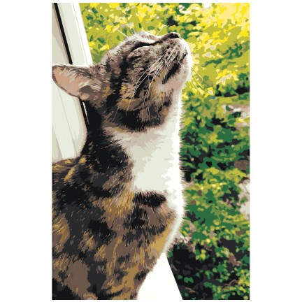 Maalaa numeroilla z76202