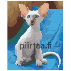 Maalaa numeroilla zai501590-4050