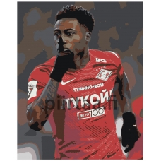 Maalaa numeroilla zcv300620-1