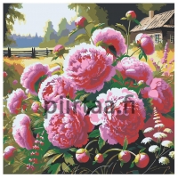 Maalaa numeroilla zgena050525-1
