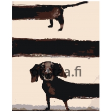 Maalaa numeroilla zgena060624-2