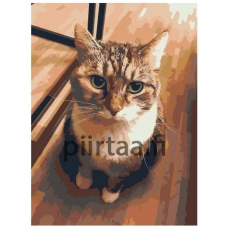 Maalaa numeroilla zgena110320-4-3040