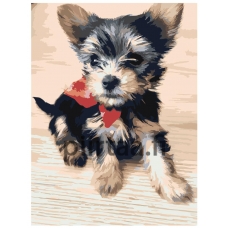 Maalaa numeroilla zgena130420-7